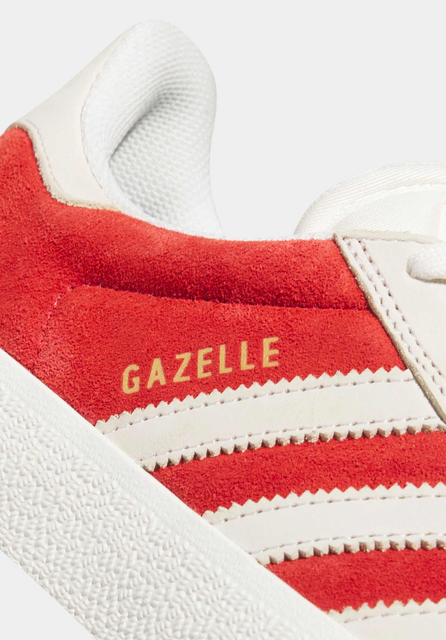 Gazelle ADV - Image 5
