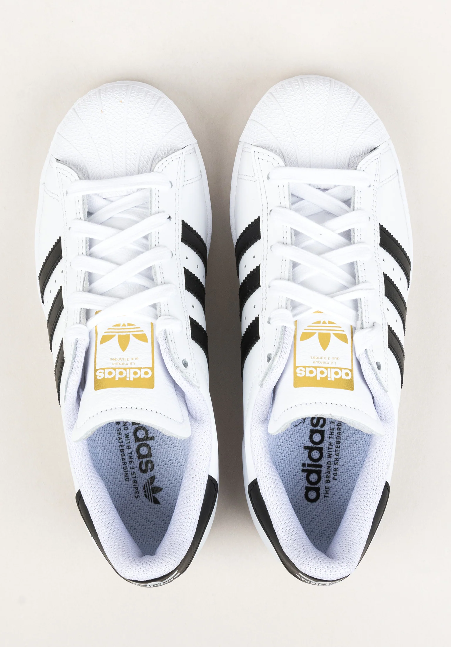 Superstar ADV - Image 4