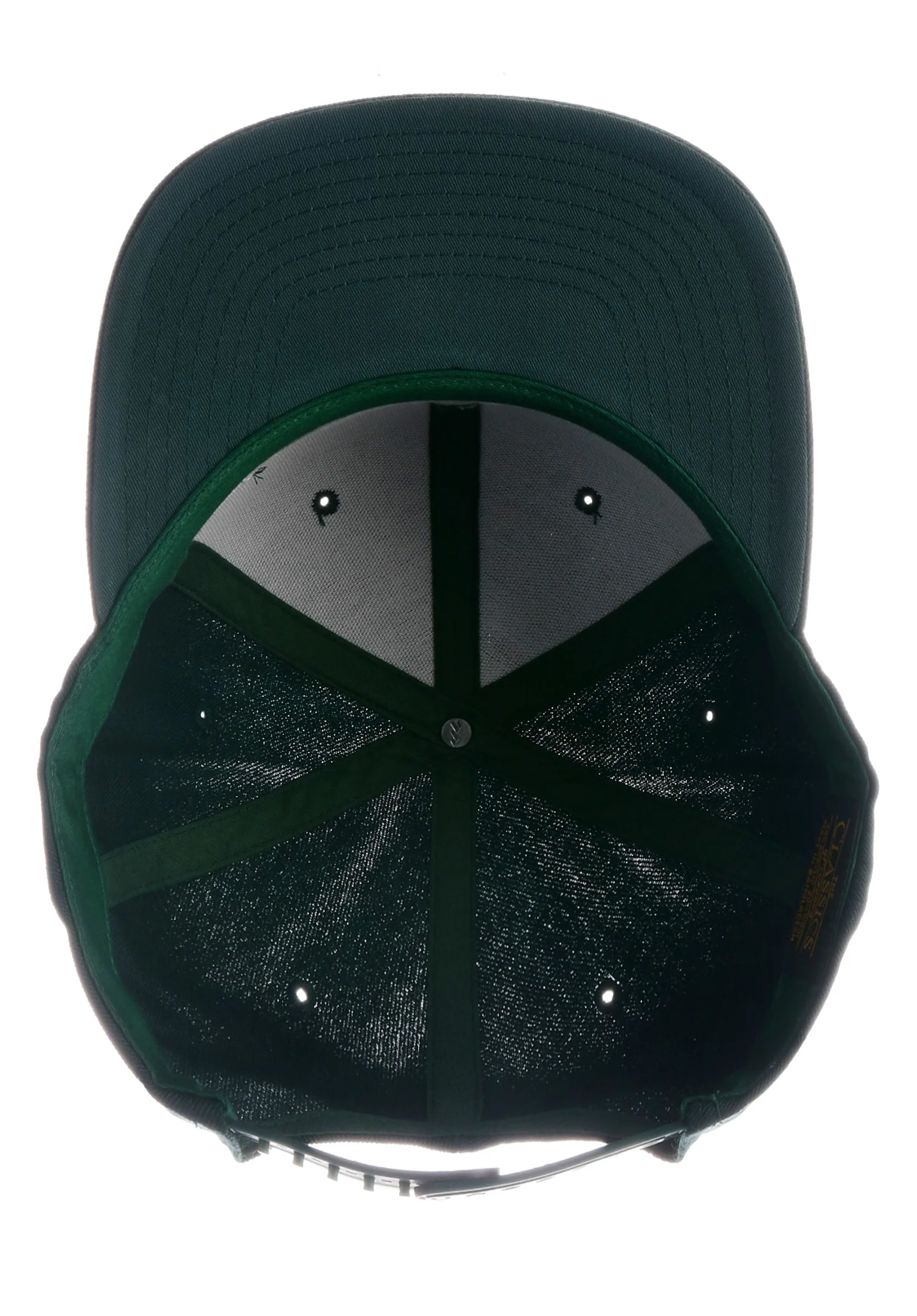 Solid Bird - Image 5