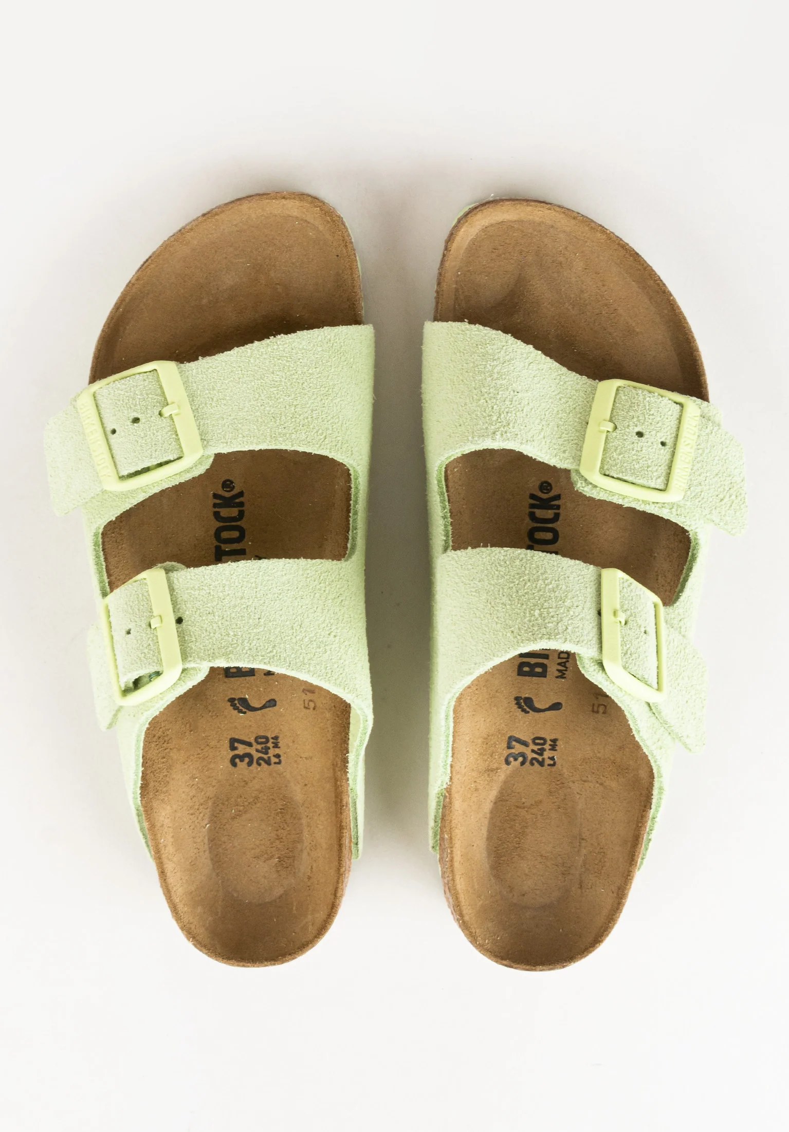 Arizona SFB VL - Image 4