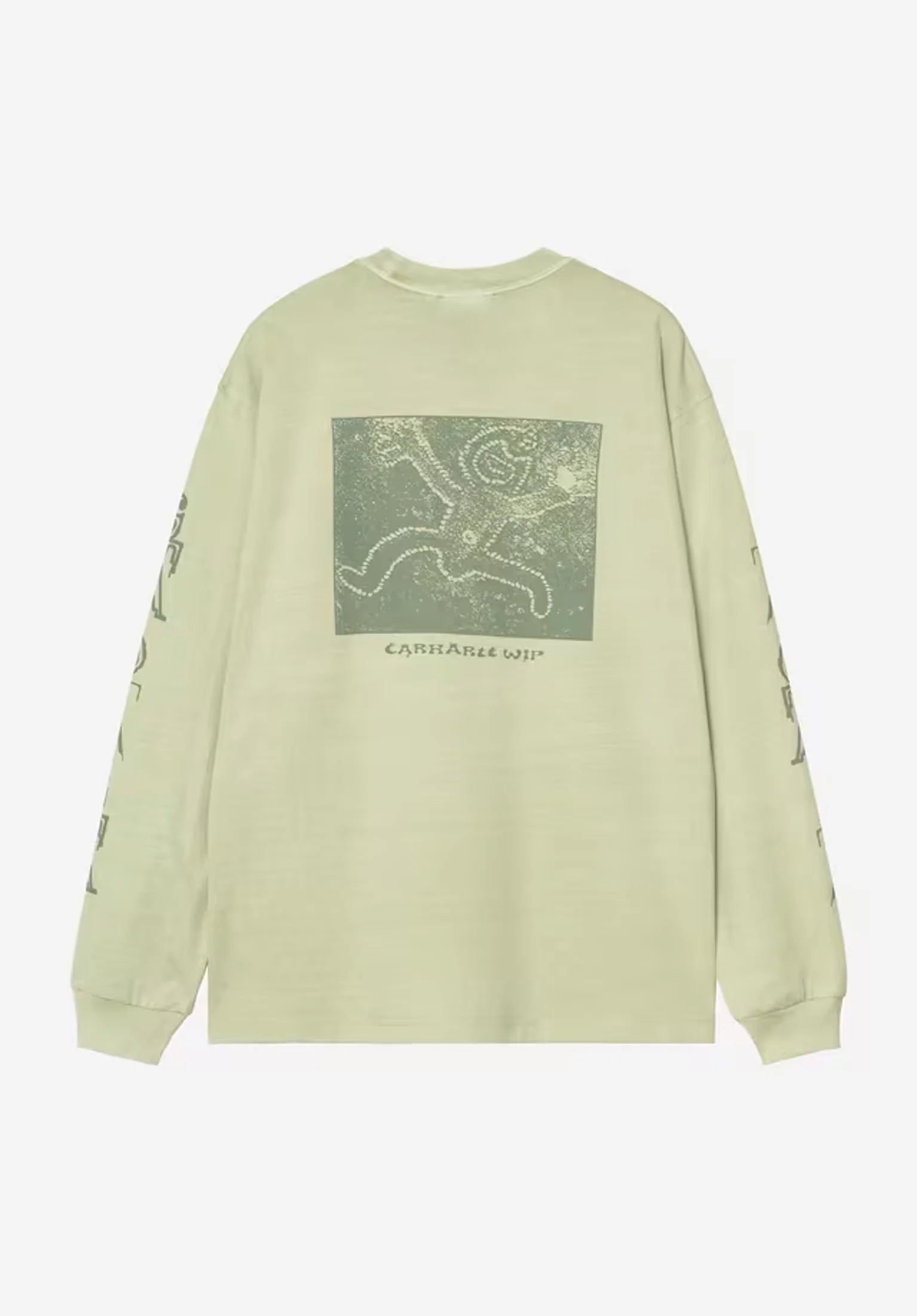 Terrestrial