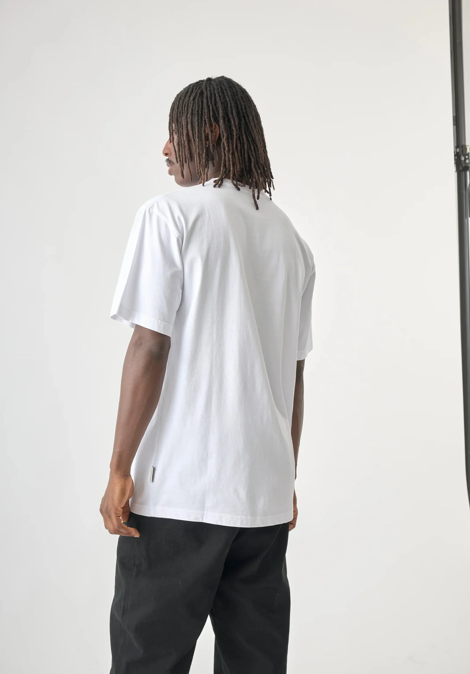 Crust Gull - Image 2