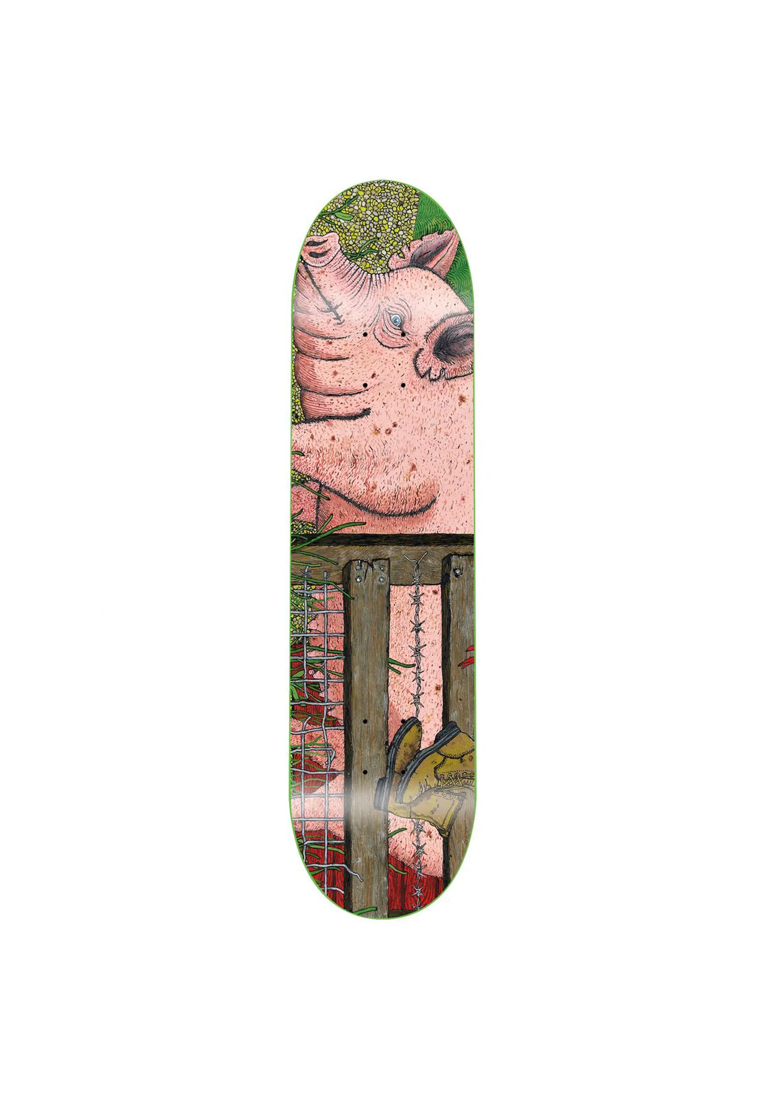 Pig