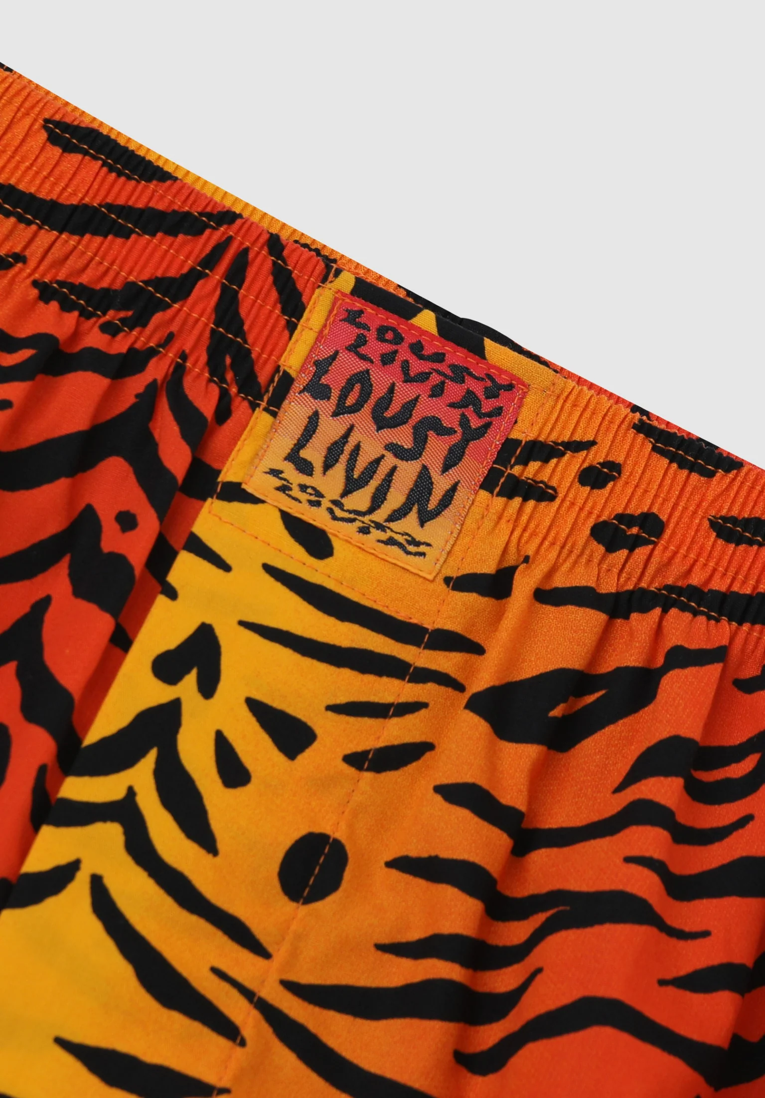 Tiger - Image 2