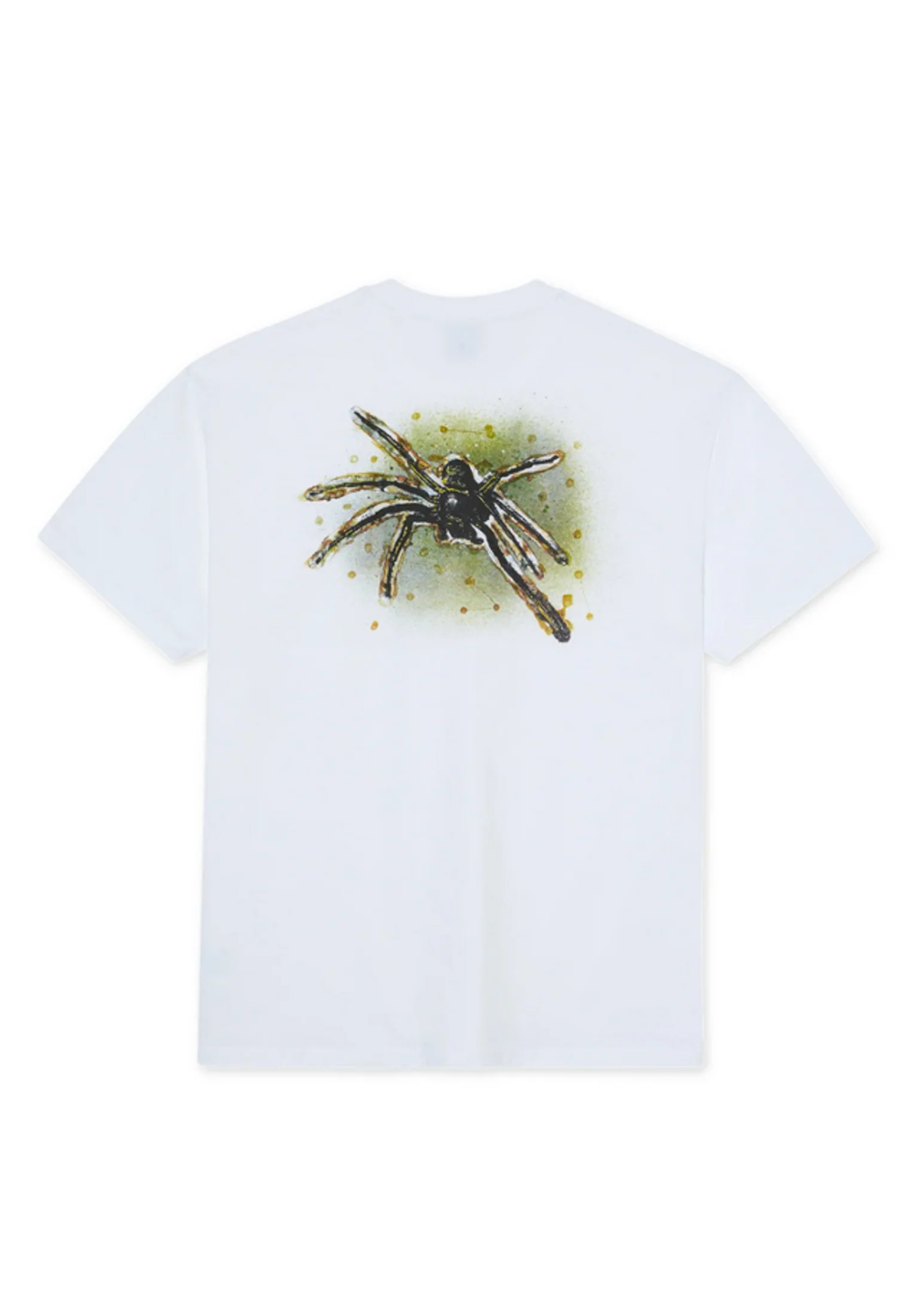 Green Spider