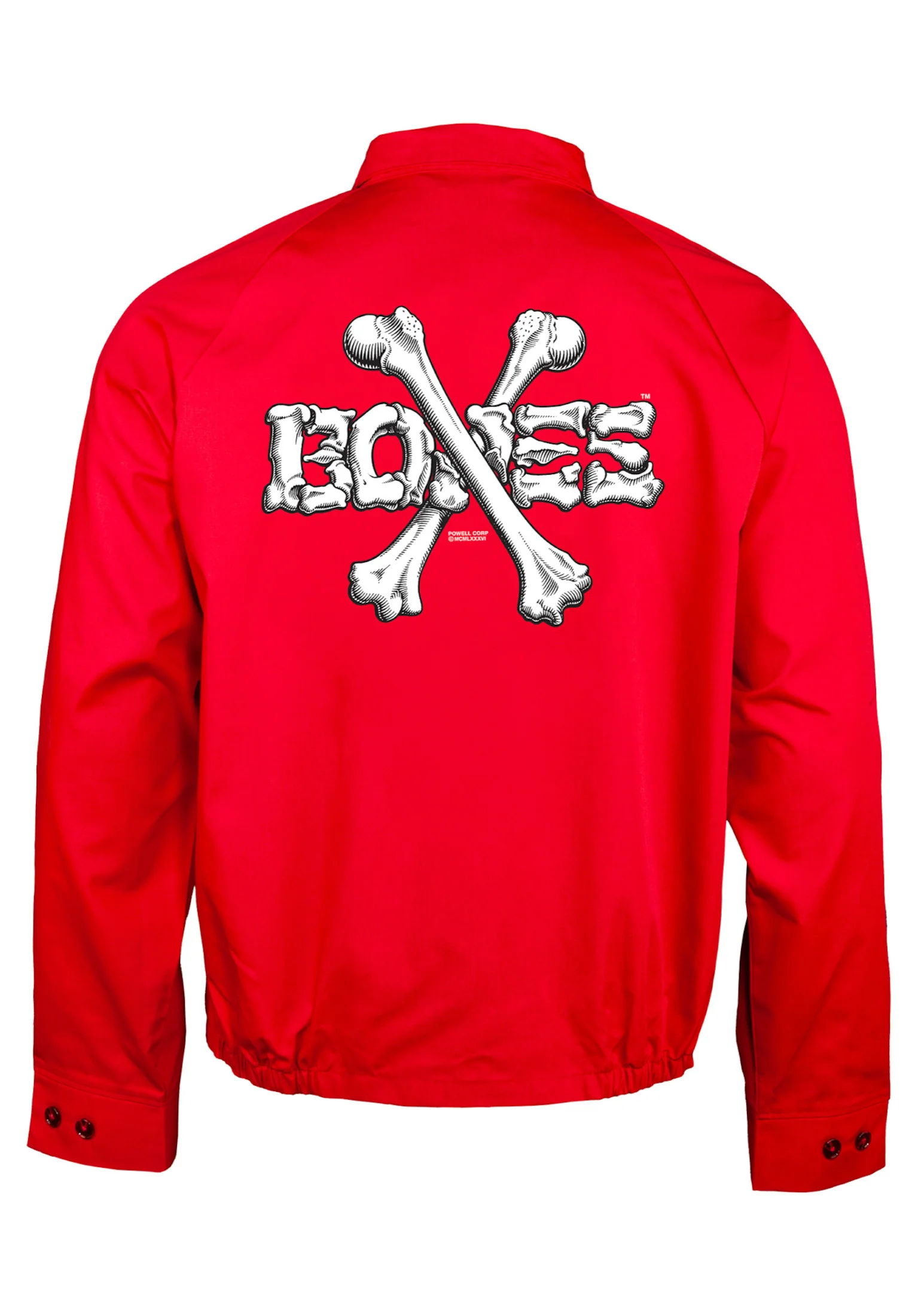 Cross Bones - Image 2