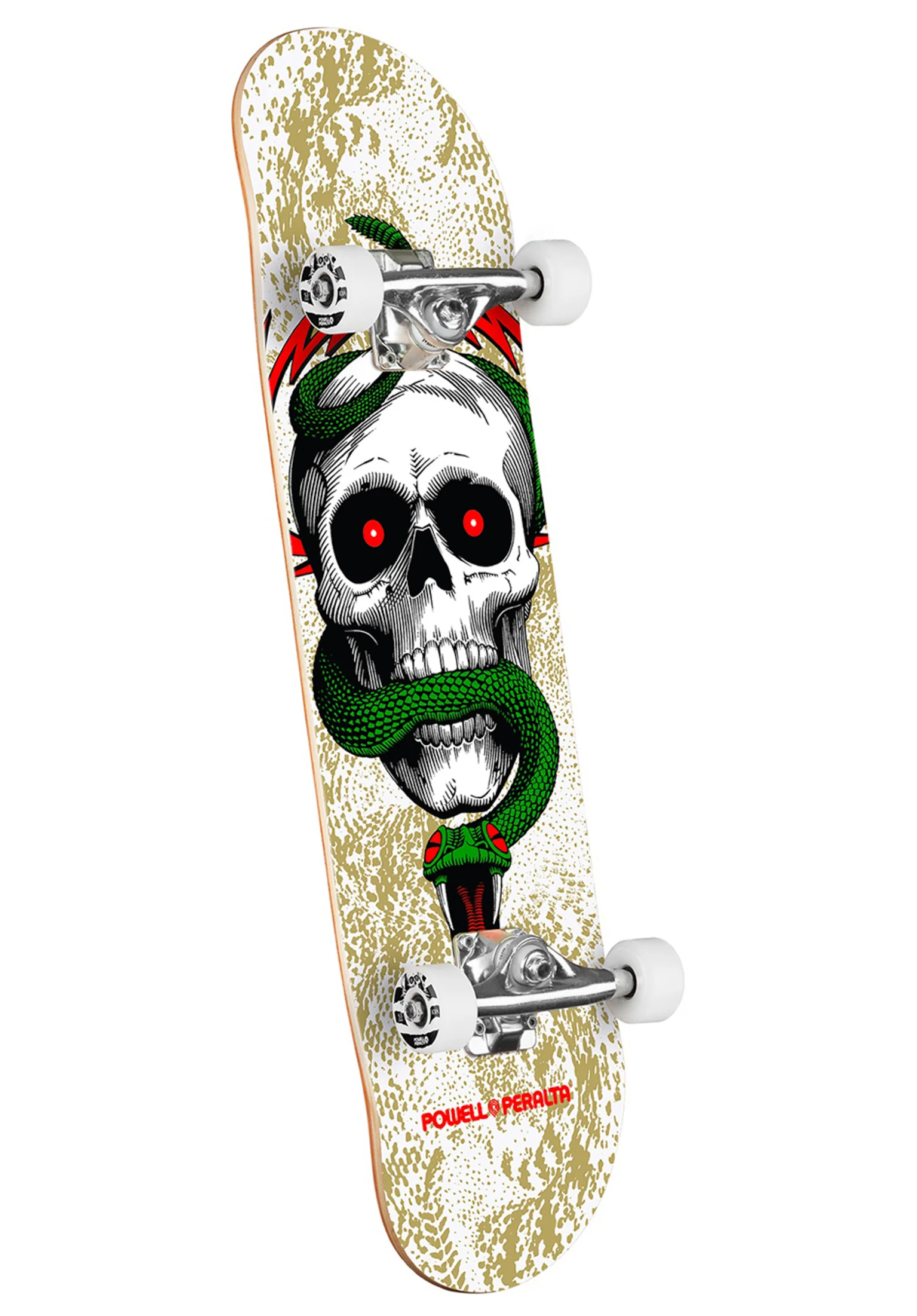 Skull & Snake