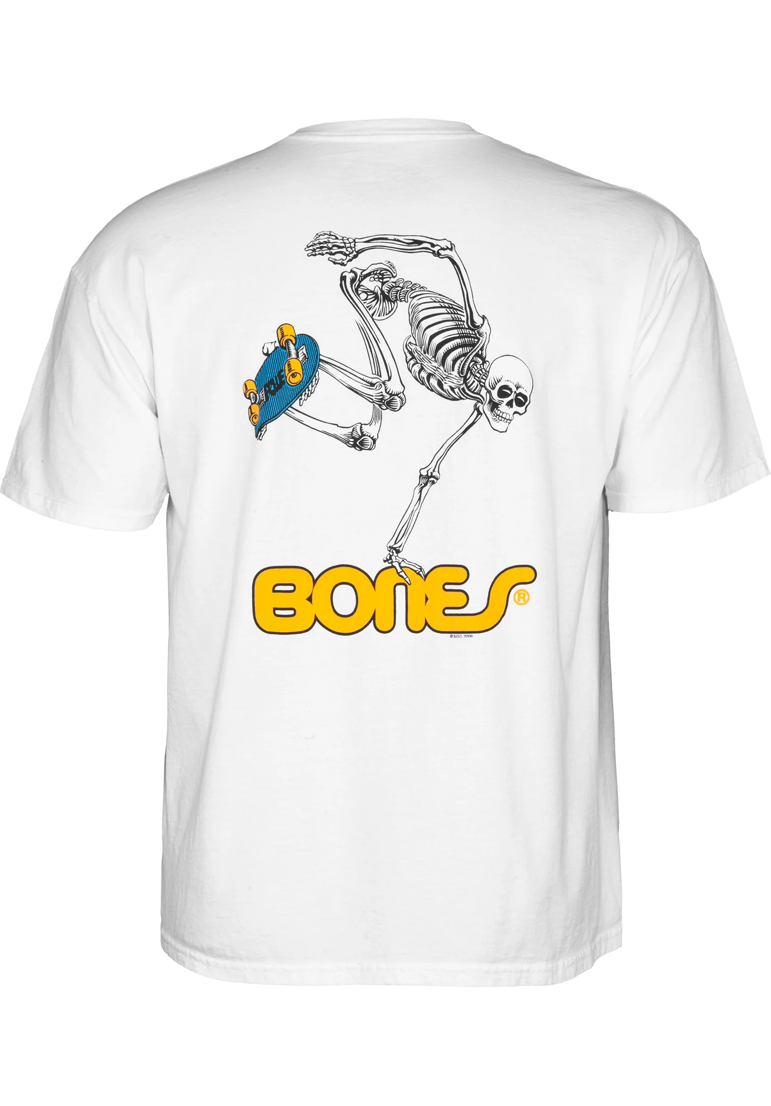 Skateboard Skeleton - Image 3