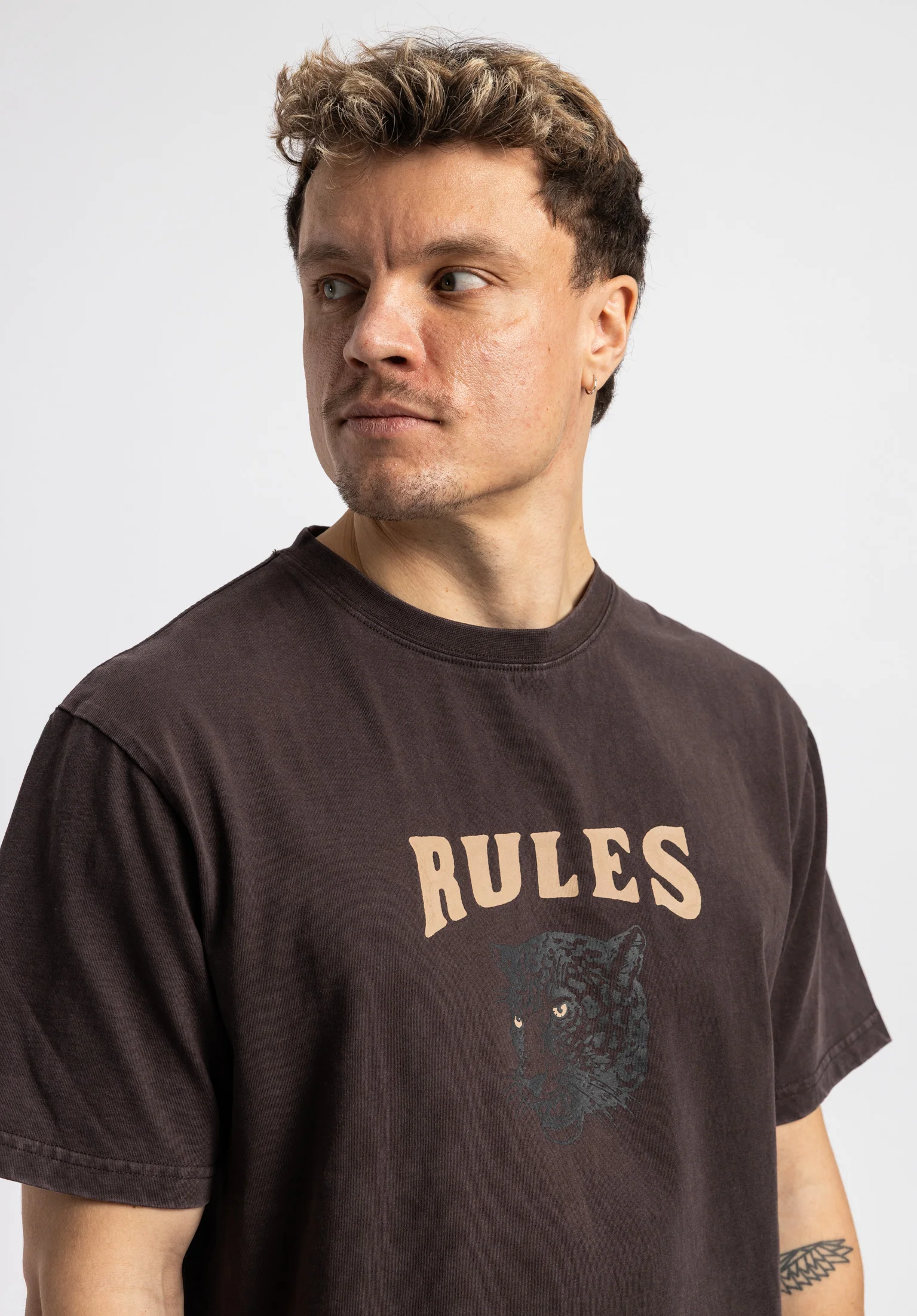 Pardel - Image 2