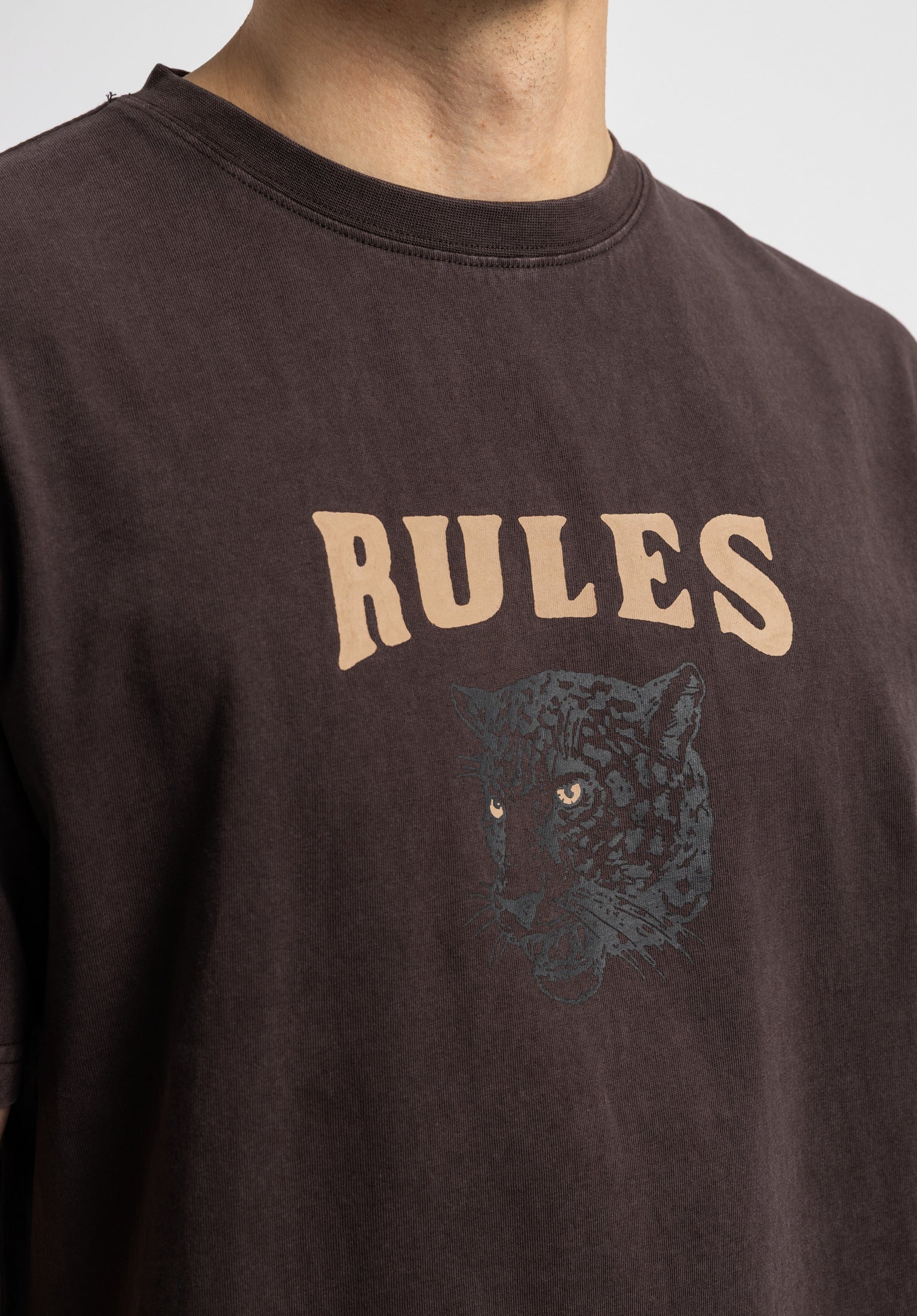 Pardel - Image 3