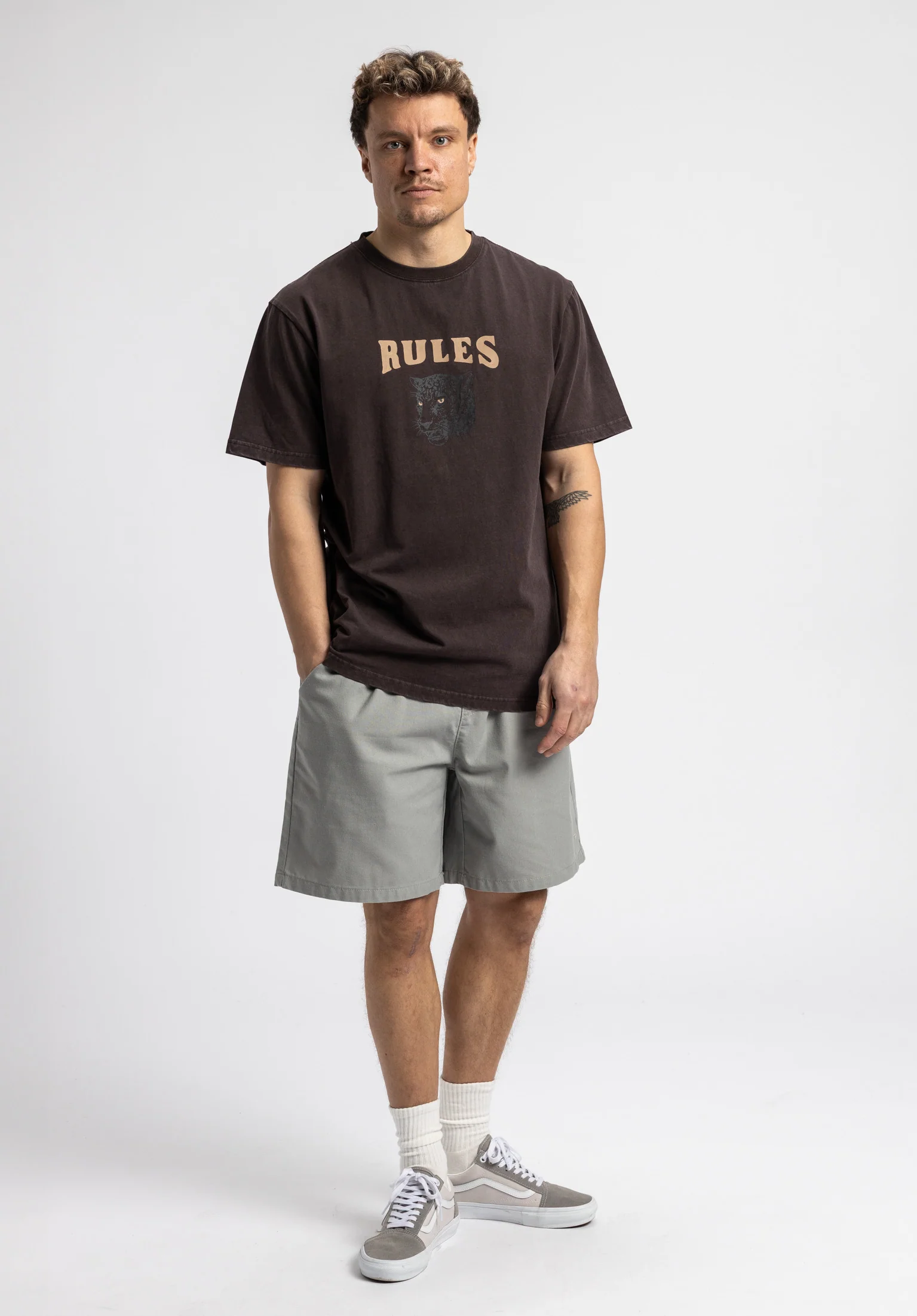 Pardel - Image 4