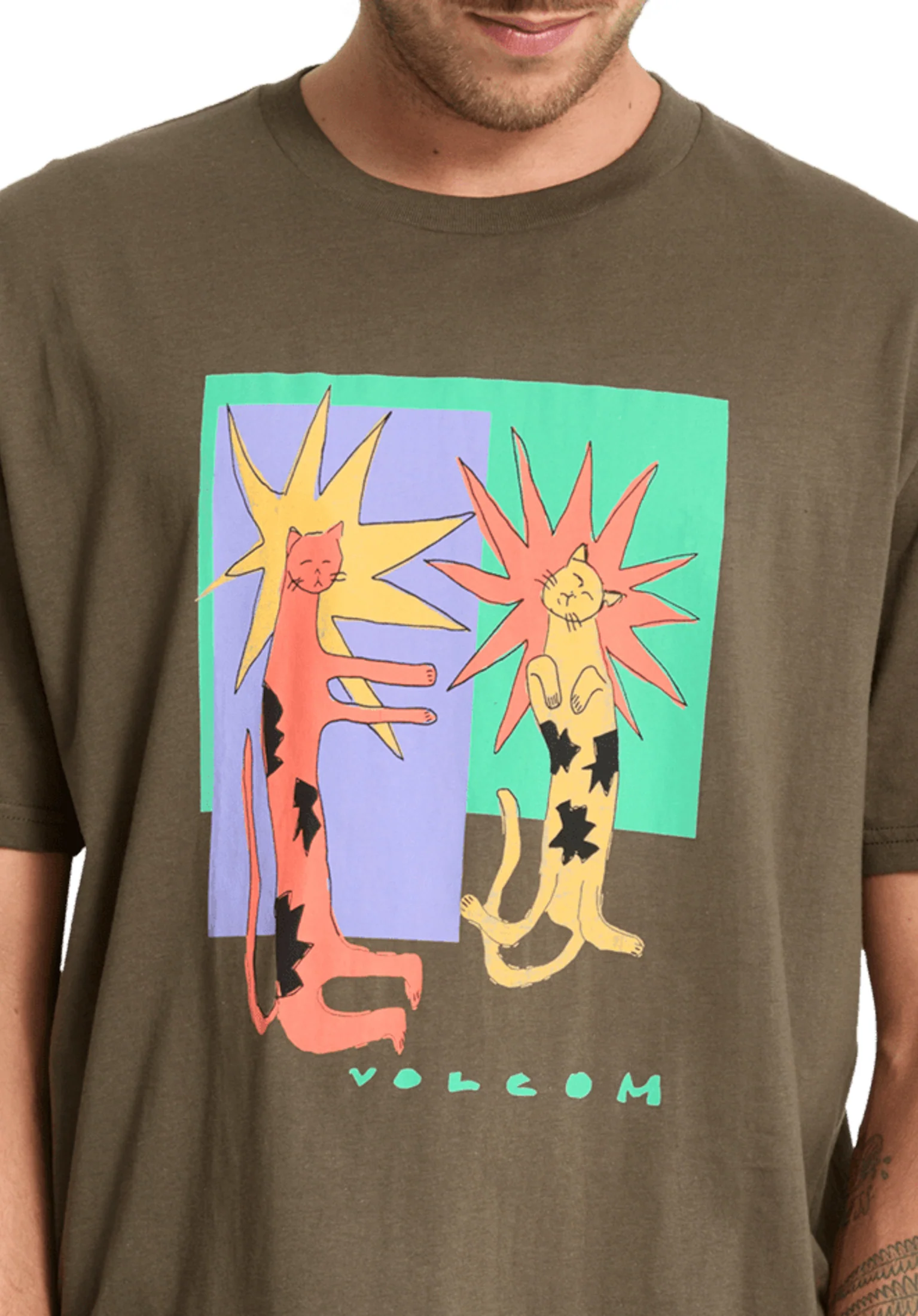 Longo Cats - Image 2