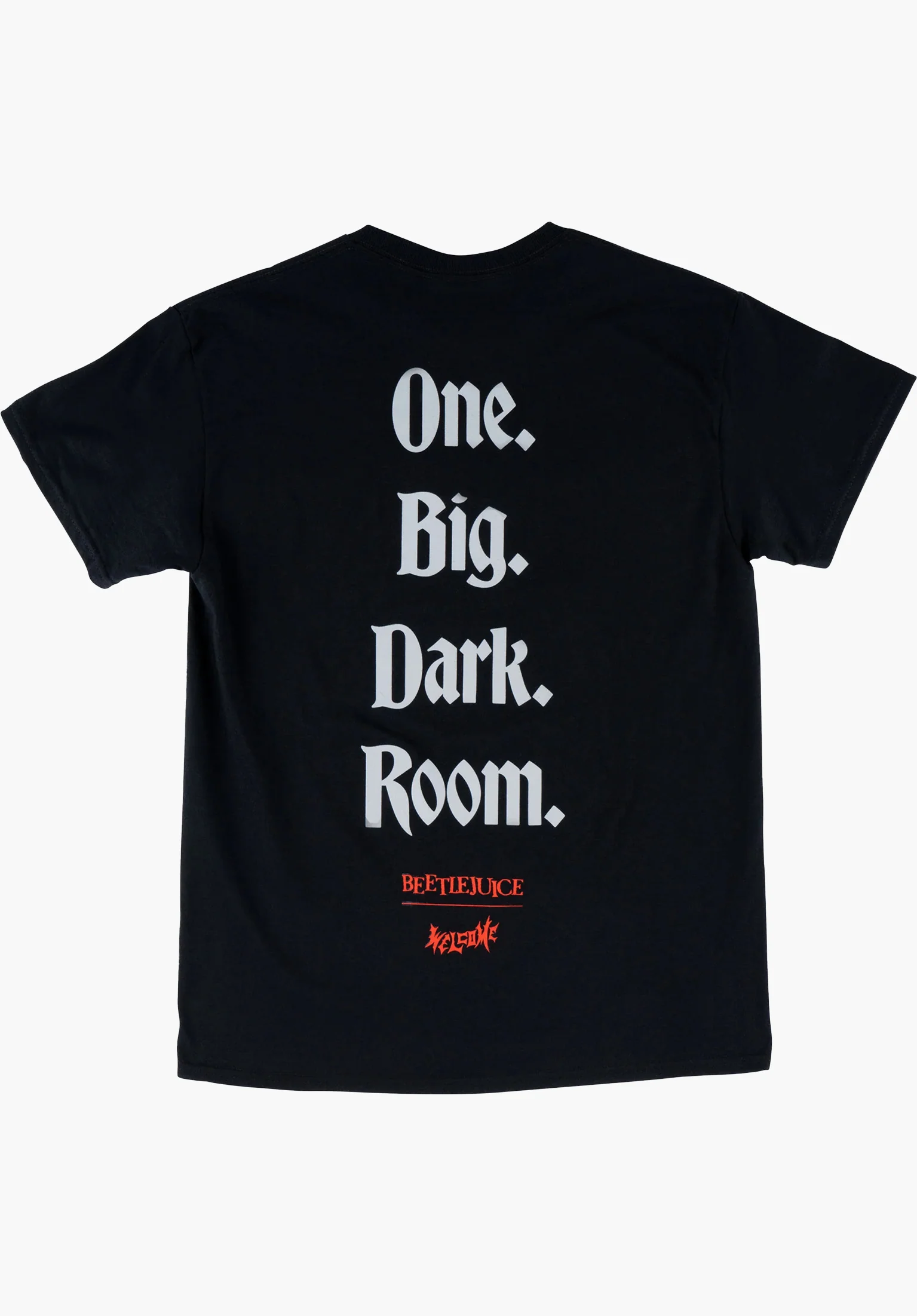 x Beetlejuice Dark Room - Image 2