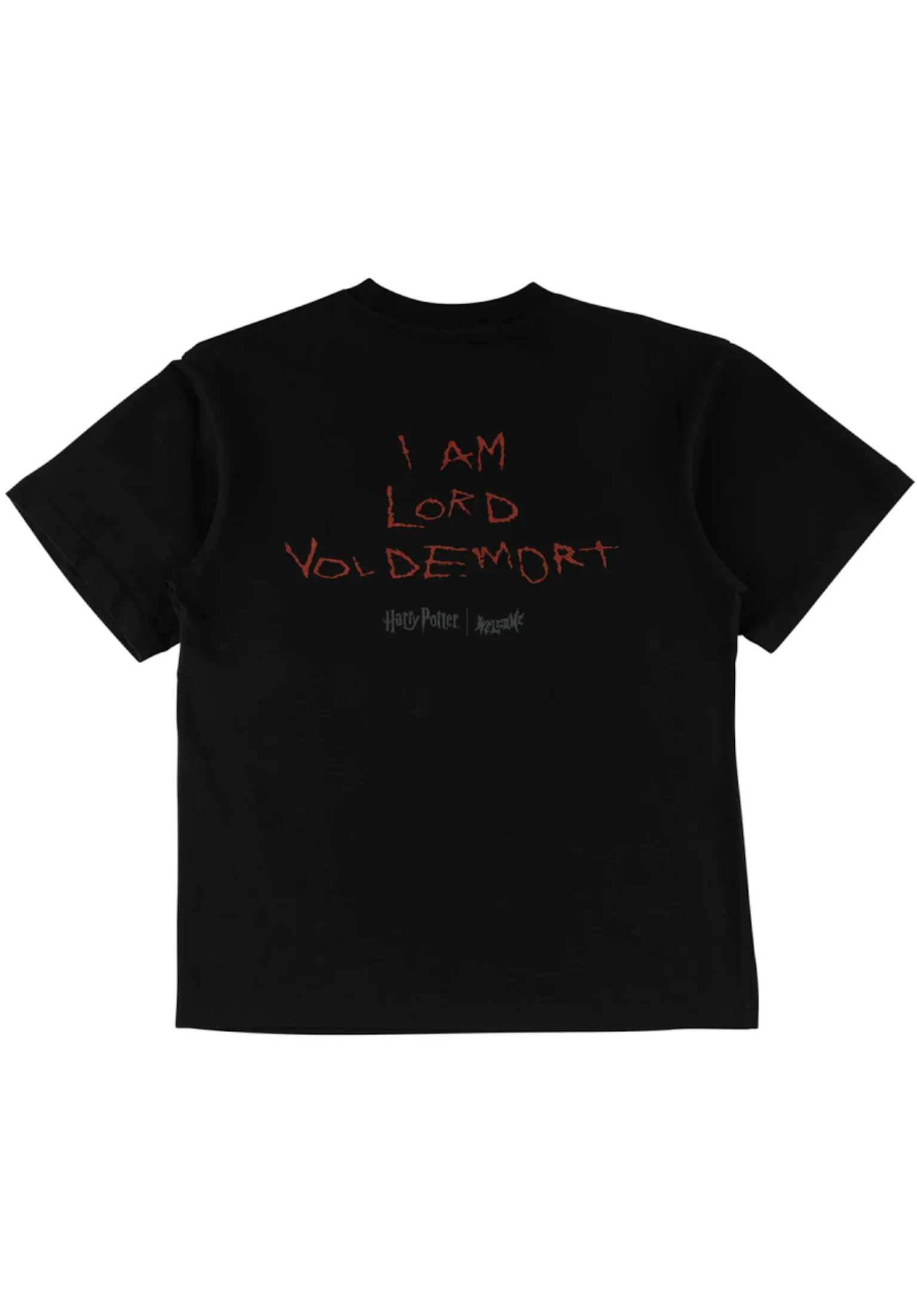 x Harry Potter Voldemort - Image 2
